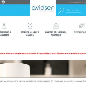 AvidsenStore