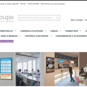 EAVS Groupe